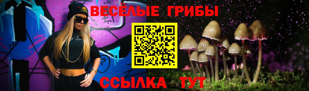 Галлюциногенные грибы прущие грибы Ноябрьск